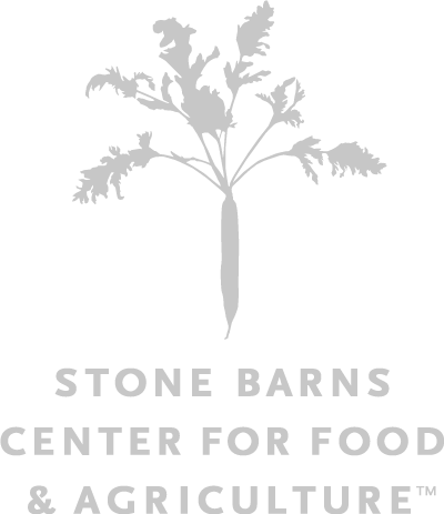 Stone Barns Center Market