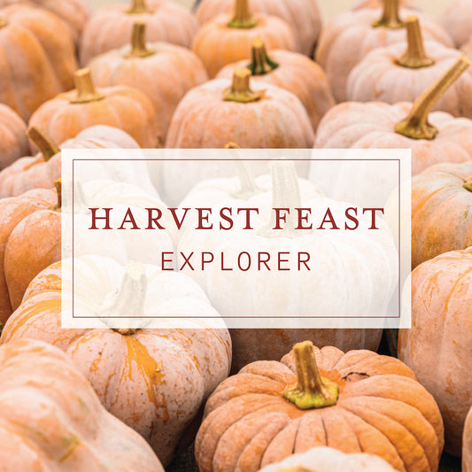 Harvest Feast 2023 | Individual Explorer Ticket